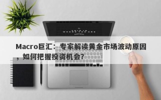 Macro巨汇：专家解读黄金市场波动原因，如何把握投资机会？