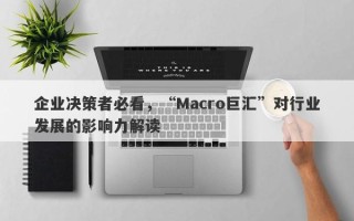 企业决策者必看，“Macro巨汇”对行业发展的影响力解读