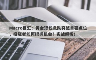 Macro巨汇：黄金短线急跌突破重要点位，投资者如何把握机会？实战解析！