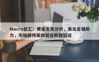 Macro巨汇：黄金走势分析，美元走强助力，市场静待美国就业数据验证