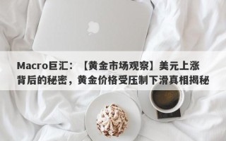 Macro巨汇：【黄金市场观察】美元上涨背后的秘密，黄金价格受压制下滑真相揭秘