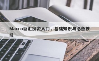 Macro巨汇投资入门，基础知识与必备技能