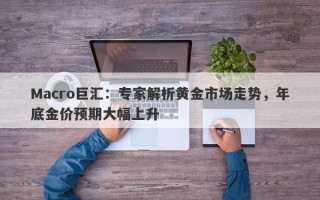 Macro巨汇：专家解析黄金市场走势，年底金价预期大幅上升