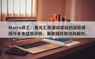 Macro巨汇：美元汇率波动背后的深层原因与未来趋势分析。美联储政策动向解析。