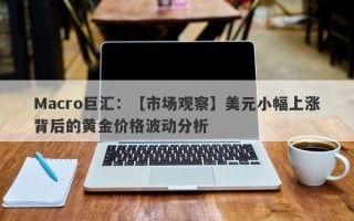 Macro巨汇：【市场观察】美元小幅上涨背后的黄金价格波动分析