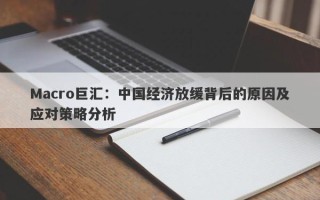 Macro巨汇：中国经济放缓背后的原因及应对策略分析