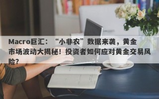 Macro巨汇：“小非农”数据来袭，黄金市场波动大揭秘！投资者如何应对黄金交易风险？