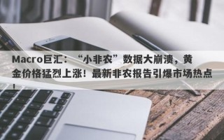 Macro巨汇：“小非农”数据大崩溃，黄金价格猛烈上涨！最新非农报告引爆市场热点！