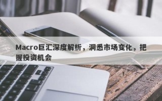 Macro巨汇深度解析，洞悉市场变化，把握投资机会