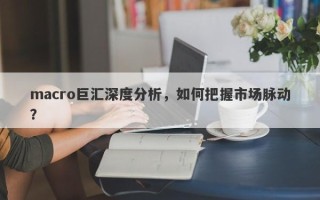 macro巨汇深度分析，如何把握市场脉动？