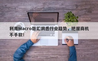 利用Macro巨汇洞悉行业趋势，把握商机不手软！