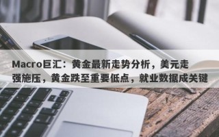 Macro巨汇：黄金最新走势分析，美元走强施压，黄金跌至重要低点，就业数据成关键