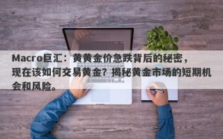 Macro巨汇：黄黄金价急跌背后的秘密，现在该如何交易黄金？揭秘黄金市场的短期机会和风险。