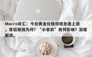 Macro巨汇：今日黄金价格惊现急速上涨，背后原因为何？“小非农”有何影响？深度解读。