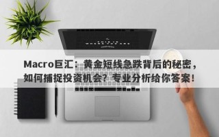 Macro巨汇：黄金短线急跌背后的秘密，如何捕捉投资机会？专业分析给你答案！