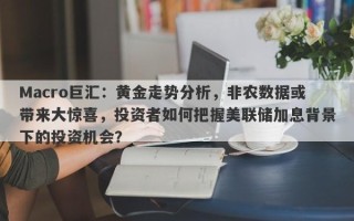 Macro巨汇：黄金走势分析，非农数据或带来大惊喜，投资者如何把握美联储加息背景下的投资机会？