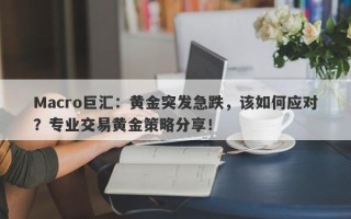 Macro巨汇：黄金突发急跌，该如何应对？专业交易黄金策略分享！