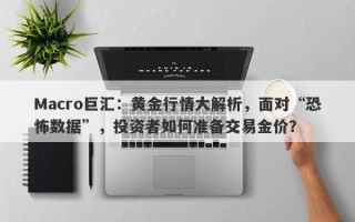 Macro巨汇：黄金行情大解析，面对“恐怖数据”，投资者如何准备交易金价？