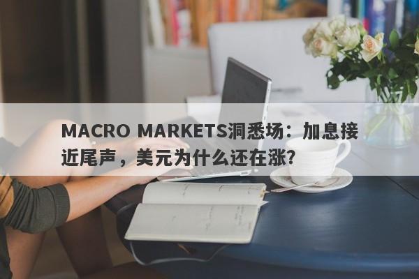 MACRO MARKETS洞悉场：加息接近尾声，美元为什么还在涨？-第1张图片-Macro Markets巨汇