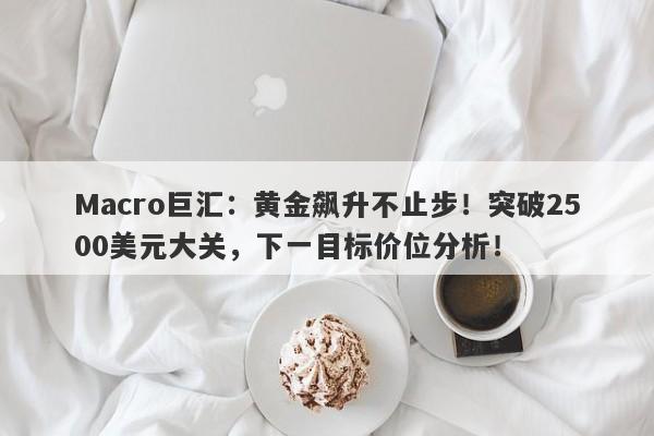 Macro巨汇：黄金飙升不止步！突破2500美元大关，下一目标价位分析！-第1张图片-Macro Markets巨汇