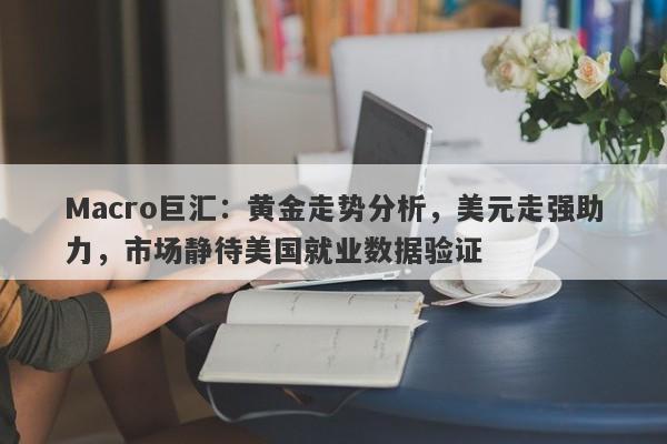 Macro巨汇：黄金走势分析，美元走强助力，市场静待美国就业数据验证-第1张图片-Macro Markets巨汇