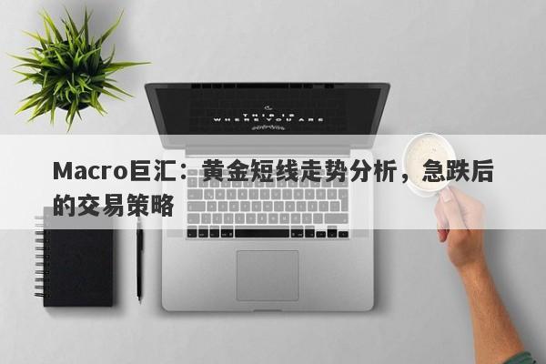 Macro巨汇：黄金短线走势分析，急跌后的交易策略-第1张图片-Macro Markets巨汇