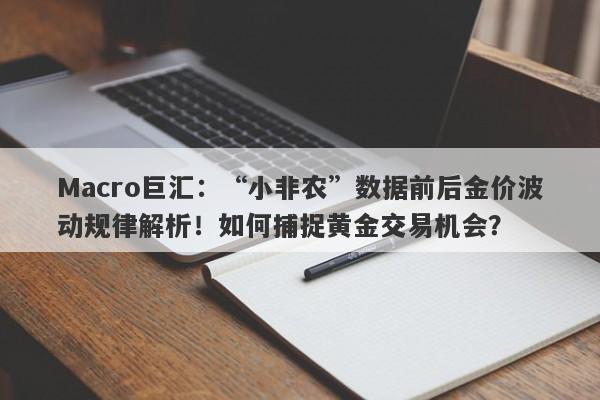 Macro巨汇：“小非农”数据前后金价波动规律解析！如何捕捉黄金交易机会？-第1张图片-Macro Markets巨汇