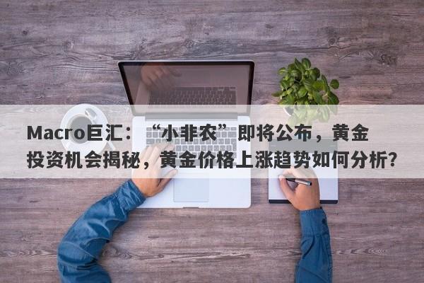 Macro巨汇：“小非农”即将公布，黄金投资机会揭秘，黄金价格上涨趋势如何分析？-第1张图片-Macro Markets巨汇