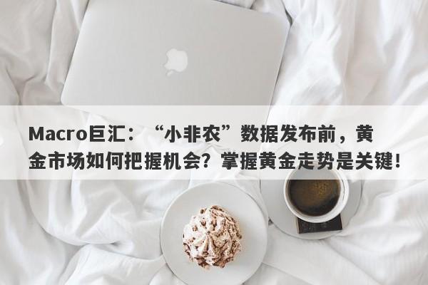 Macro巨汇：“小非农”数据发布前，黄金市场如何把握机会？掌握黄金走势是关键！-第1张图片-Macro Markets巨汇